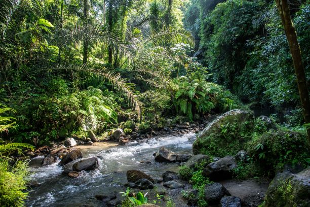 Leuser Ecosystem Is a Prioritised Landscape