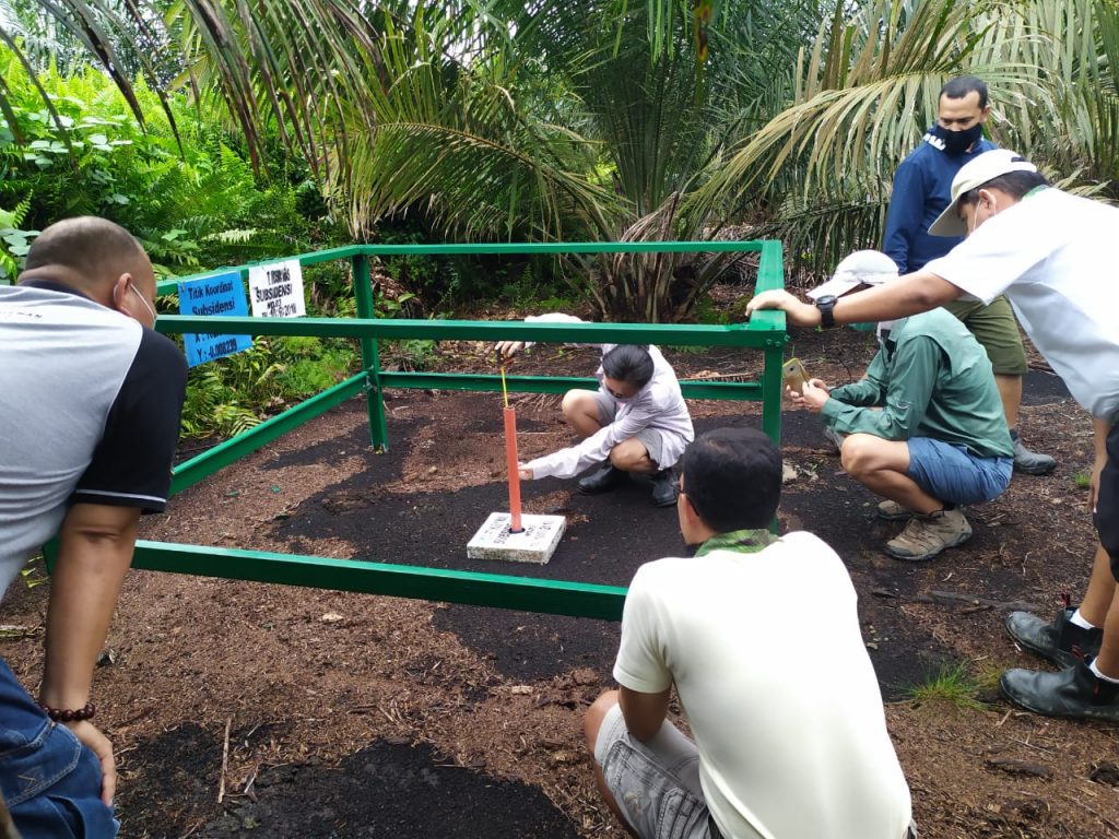 Peat Management in Musim Mas