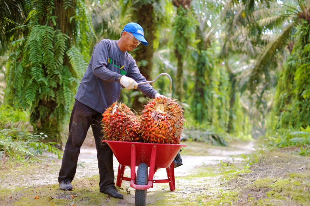 Training the Farmers of Tomorrow to Meet the Demands of the Future