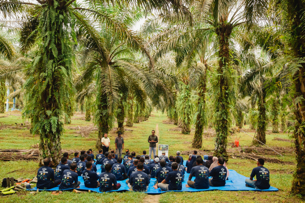 smallholder farmers