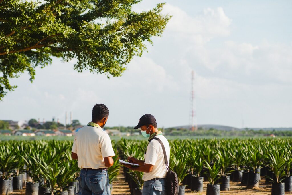 Promoting the Sustainable Production of Palm Oil Through Dealer Engagement