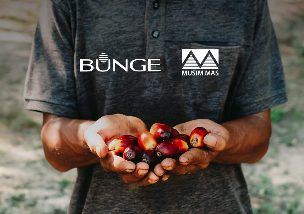 Bunge and Musim Mas Collaborate to Make Palm Value Chain more Sustainable