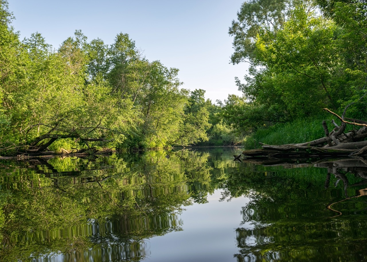 Riparian Zone Management Large