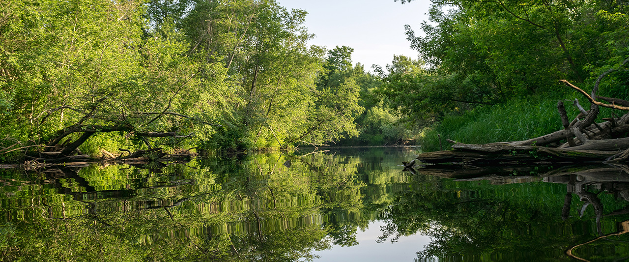 banner-water